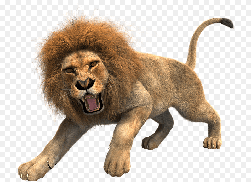 Lion Clipart Roaring Lion Transparent Background, Animal, Mammal, Wildlife Png