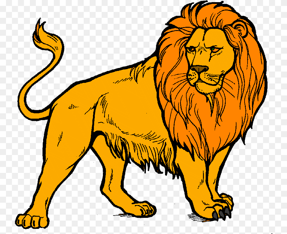 Lion Clipart Transparent Background, Animal, Mammal, Wildlife, Person Png