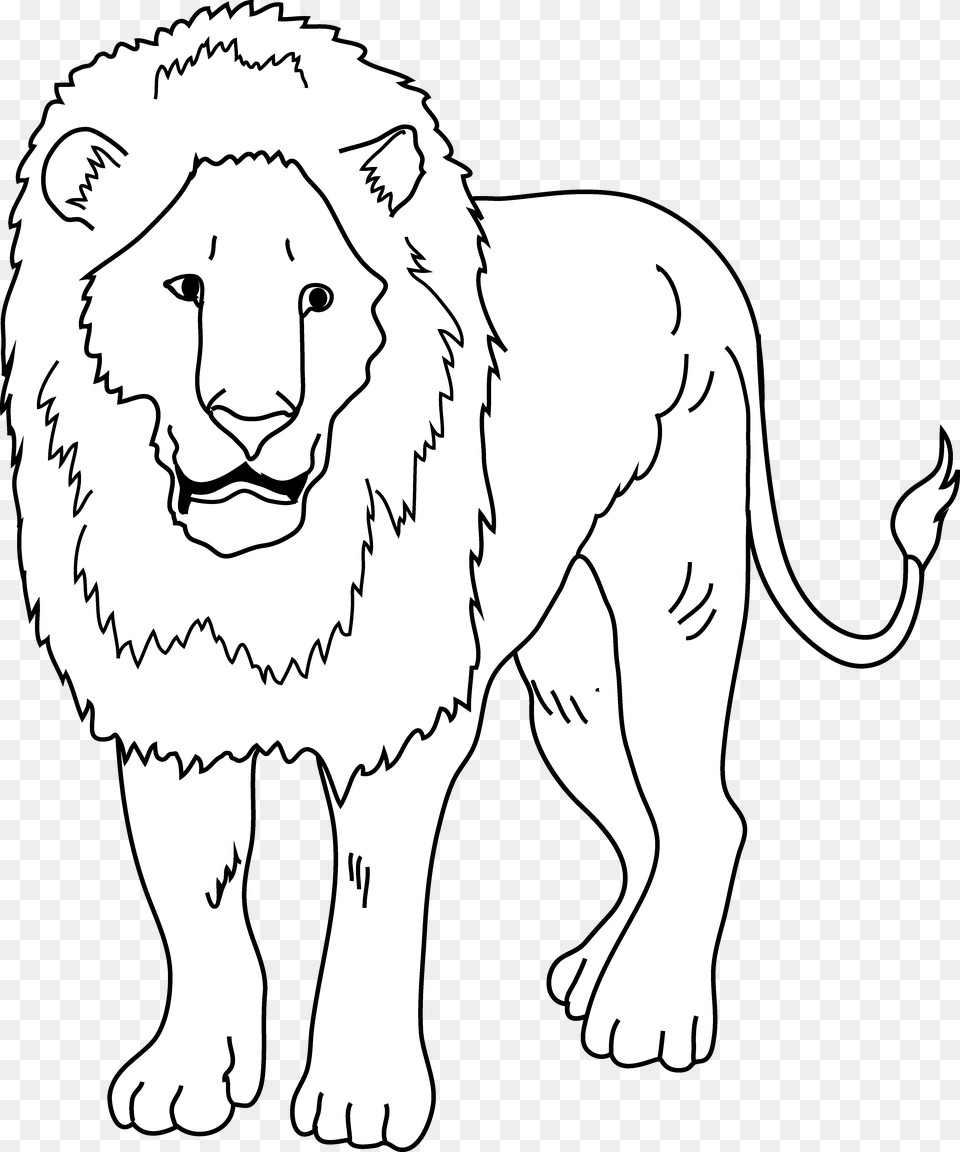 Lion Coloring, Animal, Mammal, Wildlife, Face Png