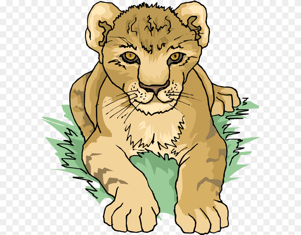 Lion Cub Clipart Lion Cub, Animal, Mammal, Wildlife, Baby Free Png Download