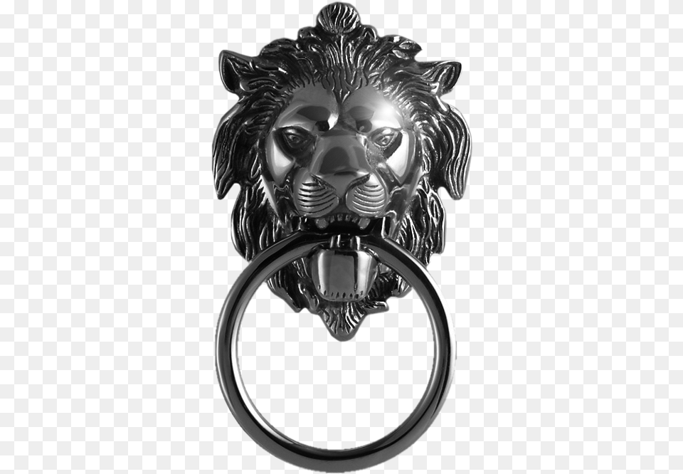 Lion Door Knocker, Accessories, Handle, Jewelry, Ring Png