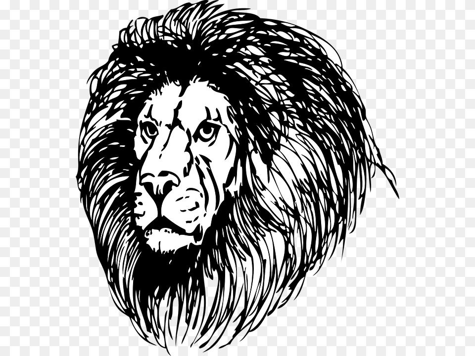 Lion Face Black And White, Wildlife, Animal, Mammal, Person Free Png Download