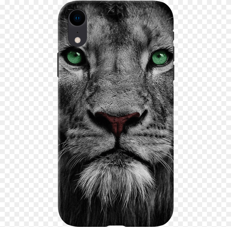 Lion Face Case Cover For Iphone Xr Black And White Photo Of Lions, Animal, Mammal, Wildlife, Cat Png