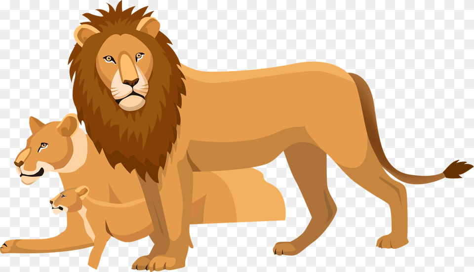 Lion Family Clipart, Animal, Mammal, Wildlife Free Transparent Png