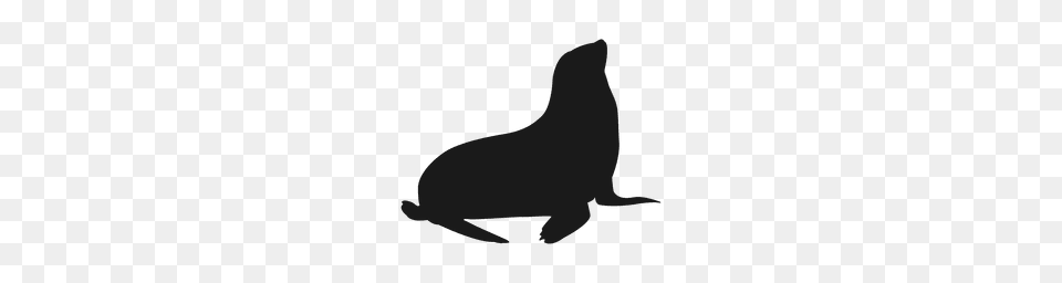 Lion Flat Logo Safari, Animal, Mammal, Sea Life, Sea Lion Free Png