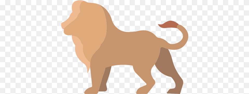 Lion Animals Icons Animal Figure, Mammal, Wildlife, Baby, Person Free Png Download