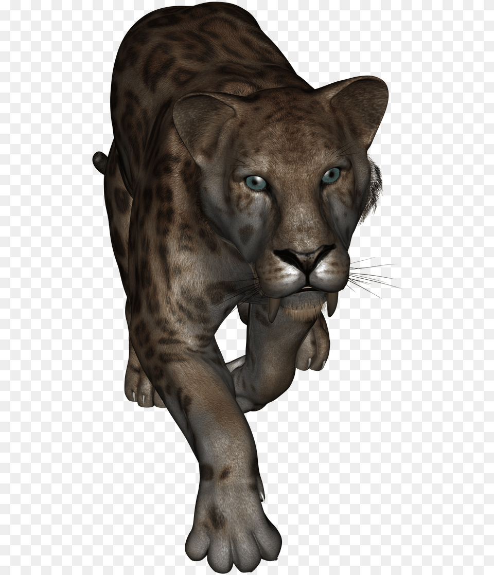 Lion Hd, Animal, Wildlife, Mammal, Panther Free Transparent Png