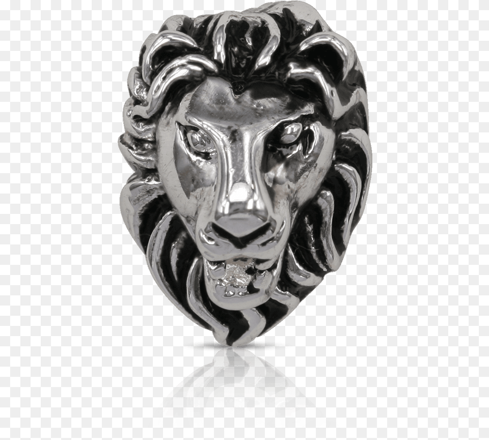 Lion Head, Accessories, Art, Person Free Png Download
