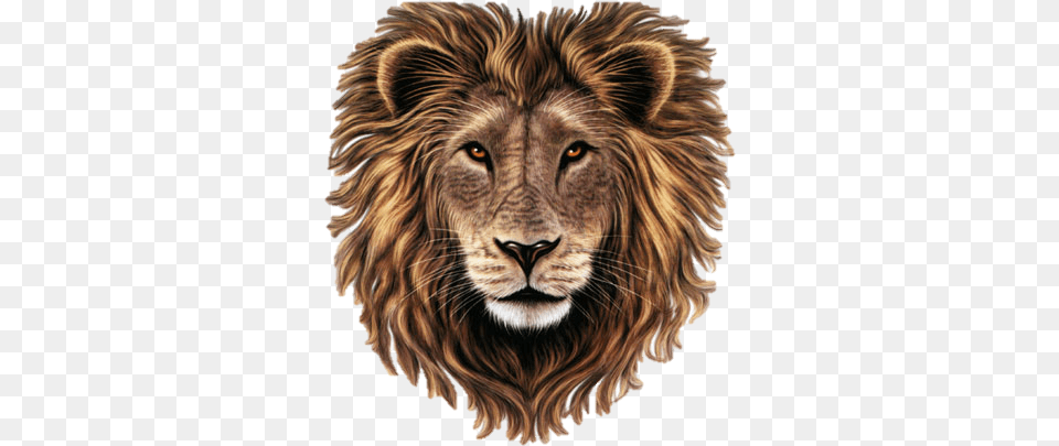 Lion Head Clipart Lion With Heart, Animal, Mammal, Wildlife Free Png