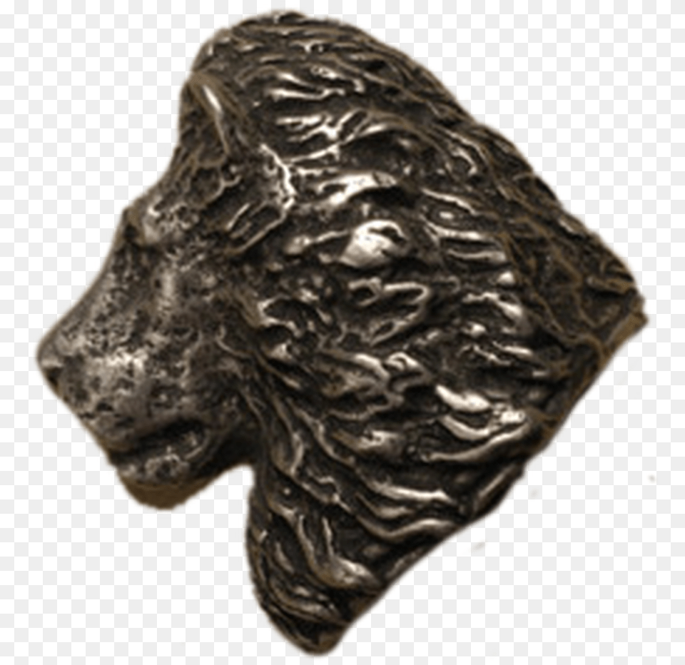 Lion Head Lft Knob Bronze Sculpture, Accessories, Adult, Male, Man Free Png Download