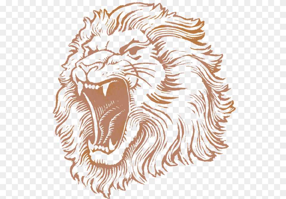 Lion Head Logo 3 Image Lion Face Pics Hd, Home Decor, Rug, Animal, Mammal Png