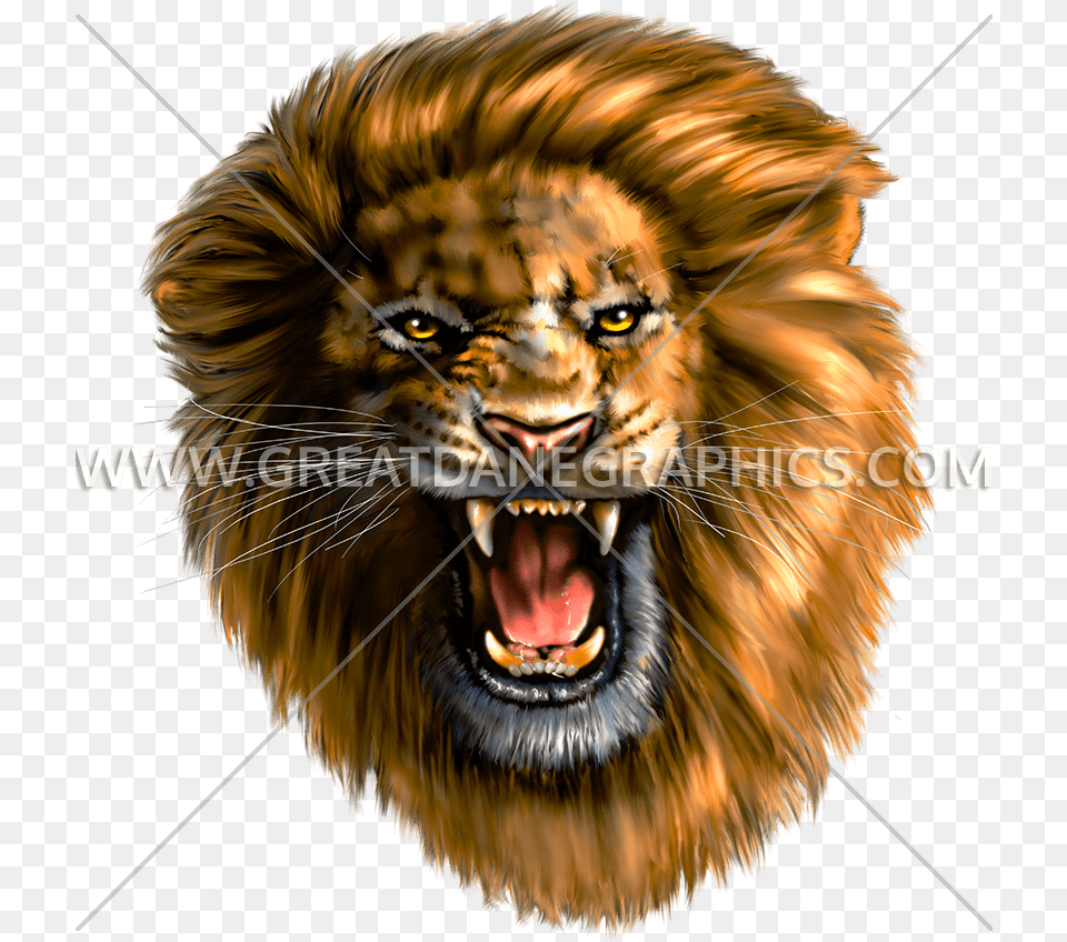 Lion Head Roaring, Animal, Mammal, Wildlife, Tiger Free Transparent Png