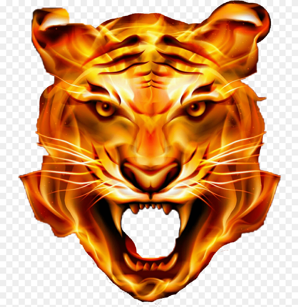 Lion Head Transparent 5 Image Fire Tiger, Animal, Mammal, Wildlife Png