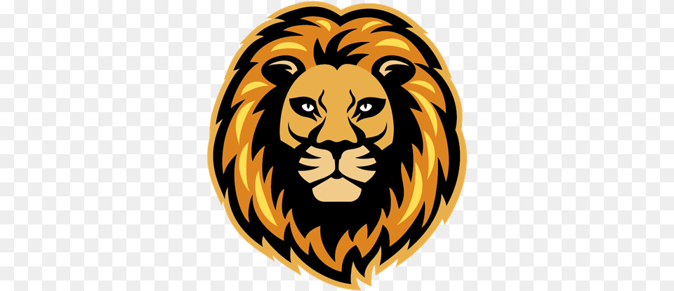 Lion Head Tumblr Transparent Warners Bay High School, Animal, Mammal, Wildlife, Person Free Png