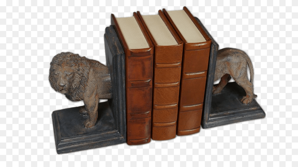 Lion Heavy Bookends, Animal, Mammal, Wildlife, Publication Free Transparent Png