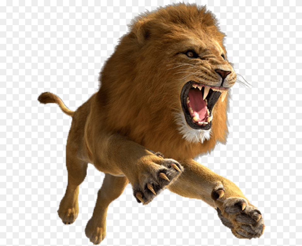 Lion Image Lion, Animal, Mammal, Wildlife Free Png