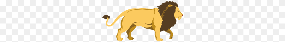 Lion Images And Clipart Download, Animal, Mammal, Wildlife, Canine Free Transparent Png