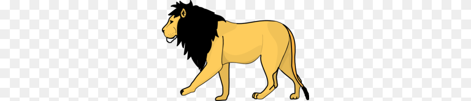 Lion Images Icon Cliparts, Person, Animal, Wildlife, Mammal Free Png Download