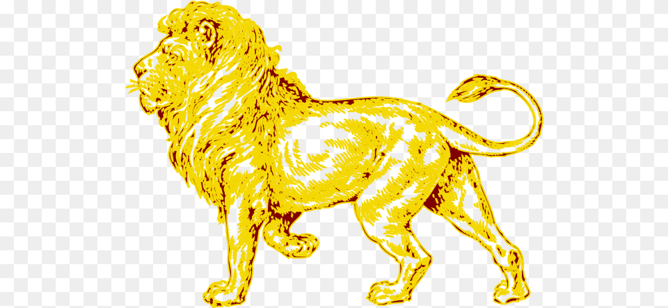 Lion In Gold With Brown Outline Clip Art Lion Lion Sketch, Animal, Mammal, Wildlife, Tiger Png