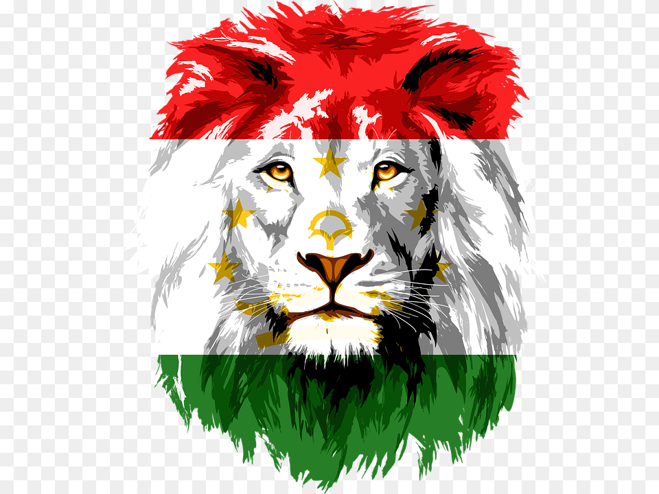 Lion Iran Tajikistan Afghanistan India Khujand Lion Head Clipart, Animal, Wildlife, Mammal, Person Free Png Download