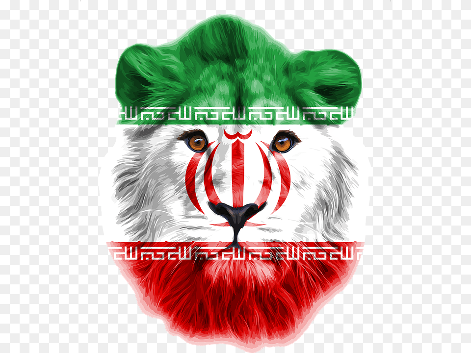 Lion Iran Tajikistan Afghanistan India Khujand Lion Head Images Hd, Baby, Person, Animal, Mammal Png Image