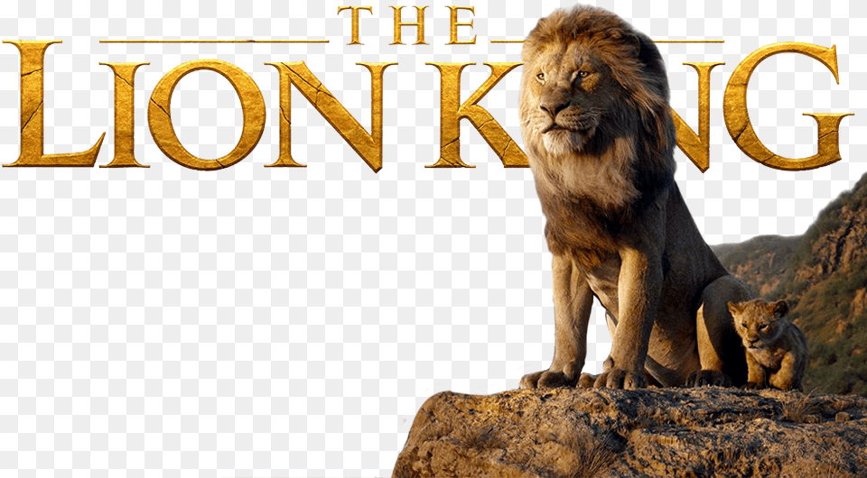 Lion King 2019, Animal, Mammal, Wildlife, Zoo Free Png Download
