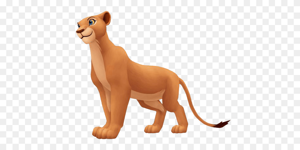 Lion King, Animal, Mammal, Wildlife, Kangaroo Png