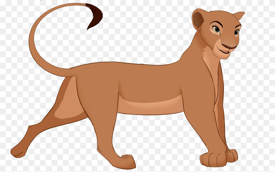 Lion King, Animal, Mammal, Wildlife, Kangaroo Png