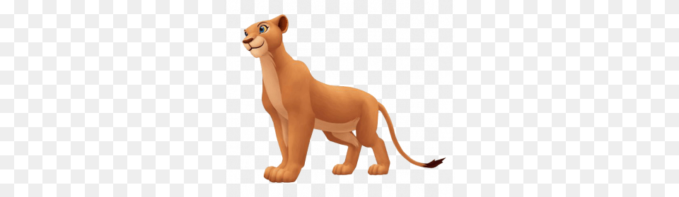 Lion King, Animal, Mammal, Wildlife, Kangaroo Free Transparent Png