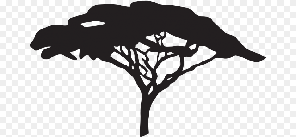 Lion King Tree Black, Art, Stencil, Drawing, Person Free Png Download