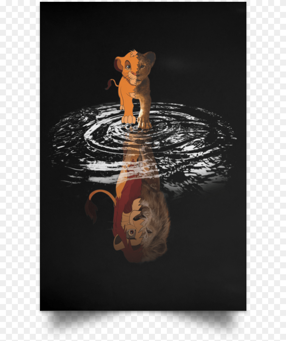 Lion King Water Reflection, Animal, Mammal, Nature, Outdoors Free Transparent Png
