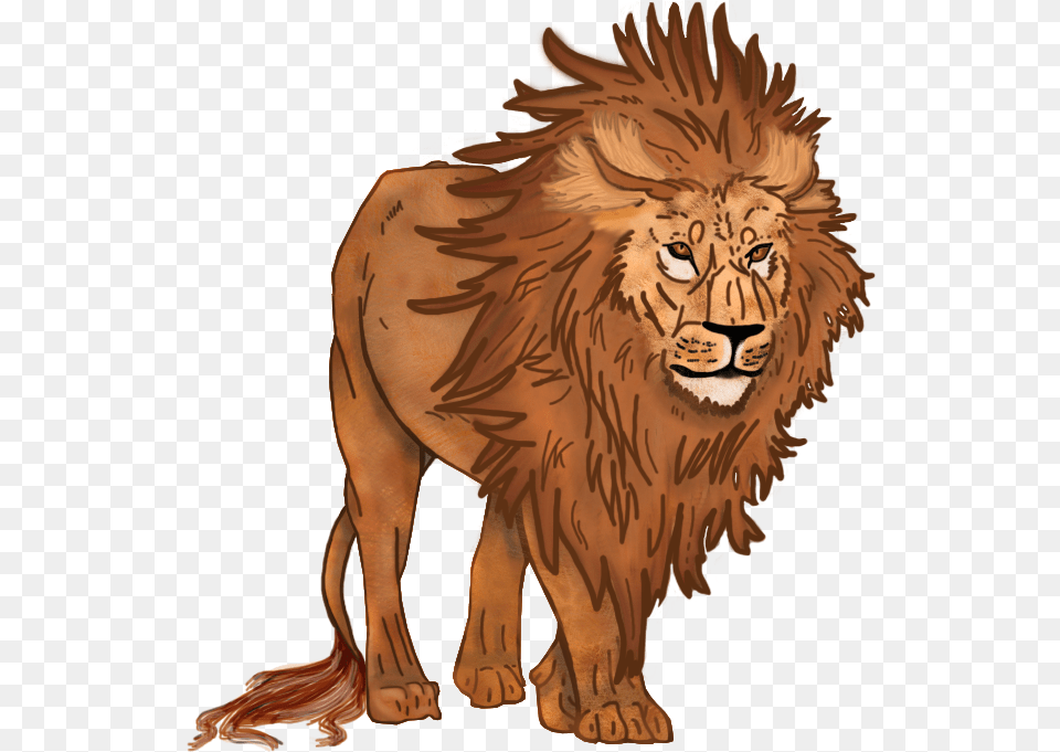 Lion Masai Lion, Animal, Mammal, Wildlife Png