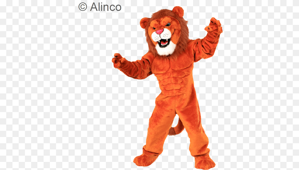 Lion Mascot Costume, Baby, Person Free Png