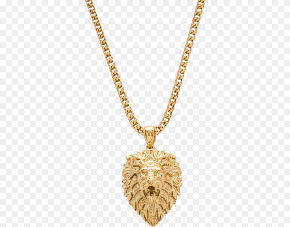 Lion Necklace Gold, Accessories, Jewelry, Pendant, Smoke Pipe Png