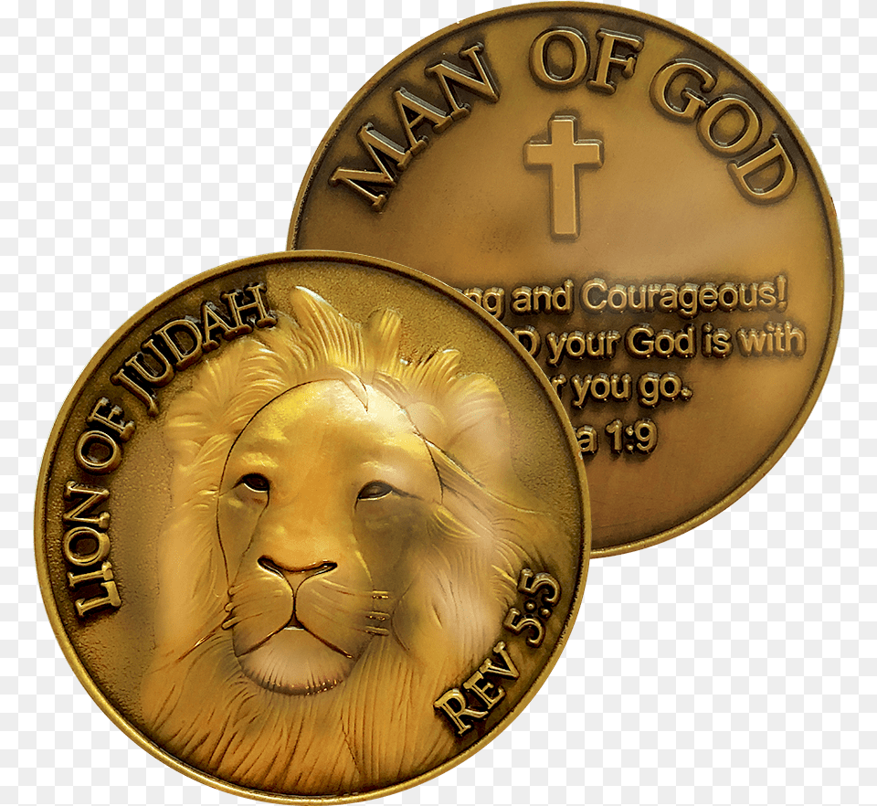 Lion Of Judah Antique Gold Plated Christian Challenge Coin Joshua 19 Christian Coin, Money, Baby, Face, Head Png