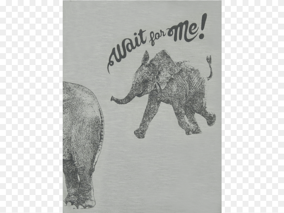 Lion Of Leisure Baby T Shirt Elephant Indian Elephant, Animal, Mammal, Wildlife, Art Png Image