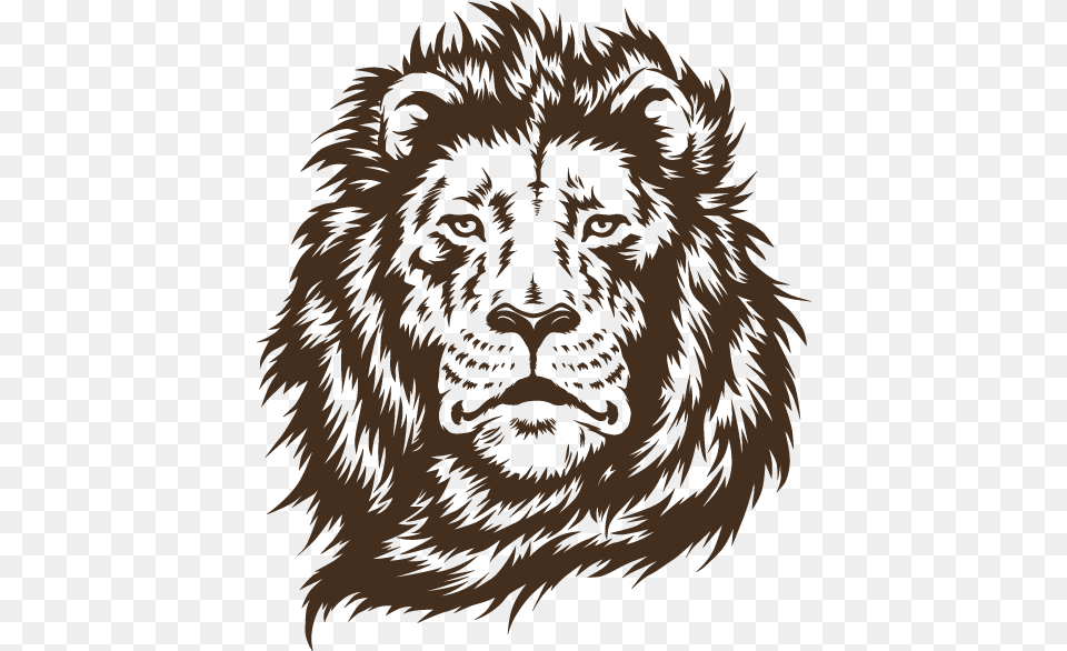 Lion Paper Amazon Of Lion Face, Animal, Mammal, Wildlife, Person Free Transparent Png