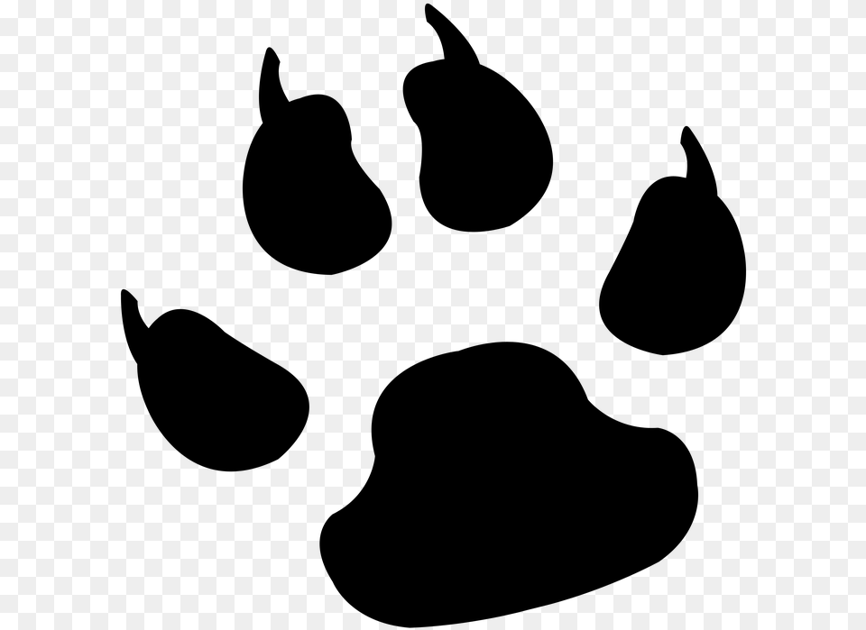 Lion Paw Tiger Paw Print, Gray Png Image