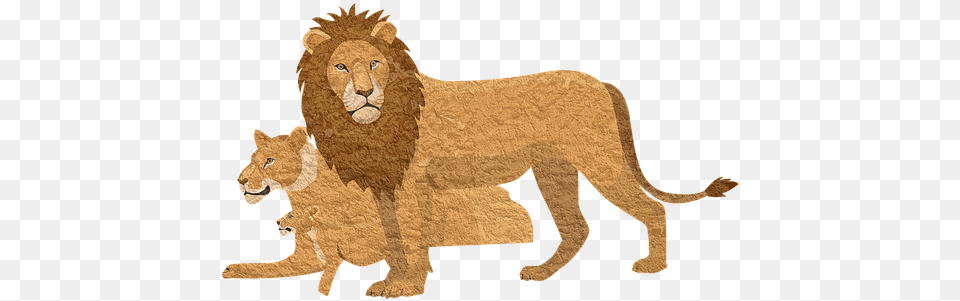 Lion Pixabay Animal Lioness Vintage Lion, Mammal, Wildlife Png Image