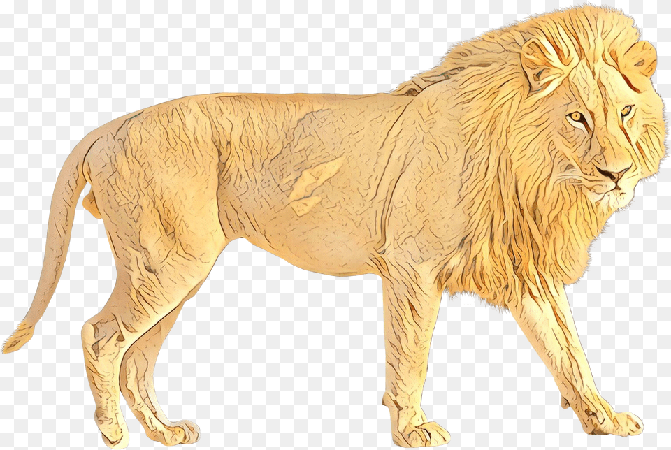 Lion Portable Network Graphics Transparency Jaguar Walking Lion In, Animal, Mammal, Wildlife Free Png