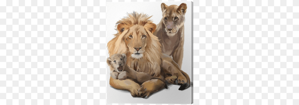 Lion Pride Watercolor Painting Canvas Print Pixers Lion, Animal, Mammal, Wildlife Png Image