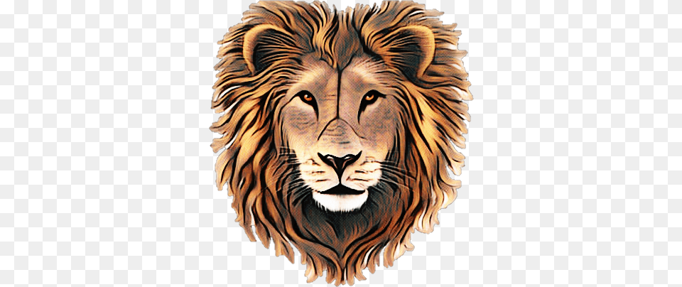 Lion Quotes In Hindi, Animal, Mammal, Wildlife, Tiger Png Image