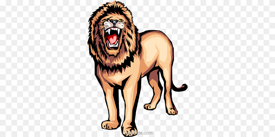 Lion Royalty Vector Clip Art Illustration, Animal, Mammal, Wildlife, Person Png