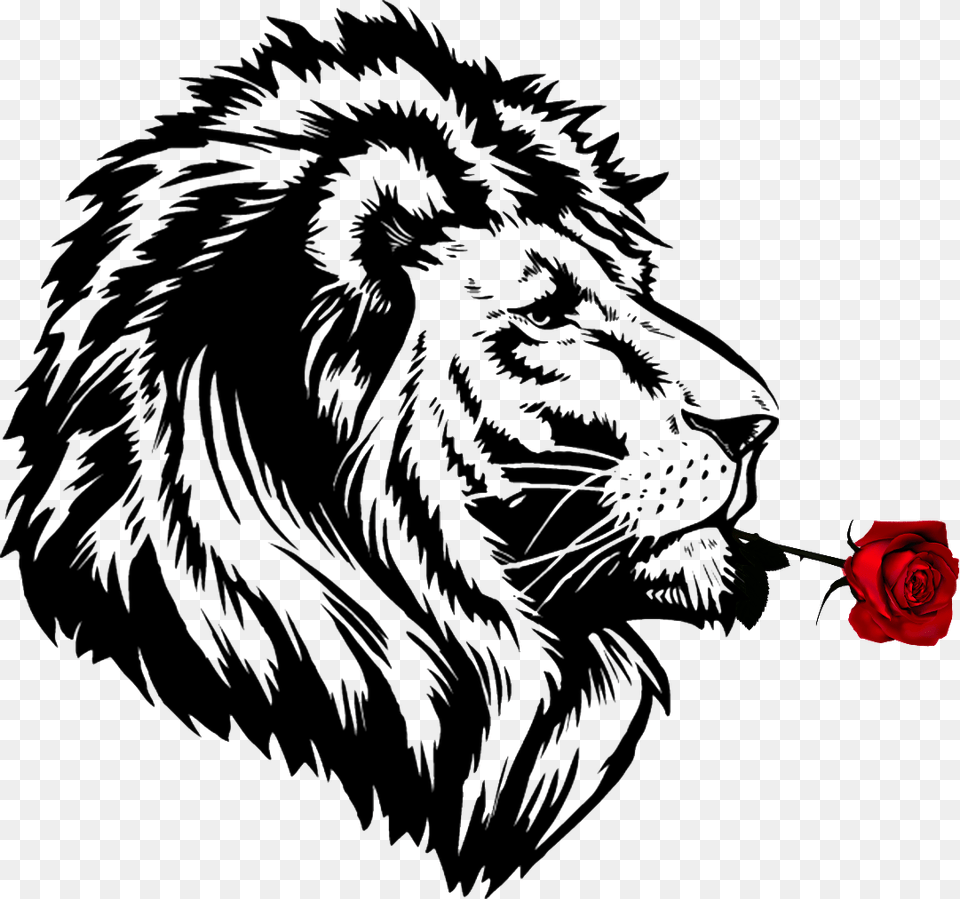 Lion S Roar Cheetah Lion S Roar Drawing Lion Black And White, Animal, Mammal, Wildlife, Flower Free Png Download