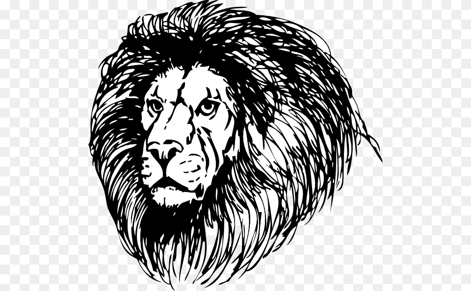 Lion Side View Tattoo, Animal, Mammal, Wildlife, Person Png