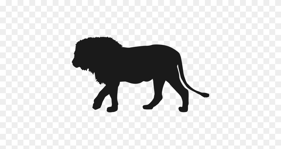 Lion Silhouette, Animal, Mammal, Wildlife, Bear Free Transparent Png