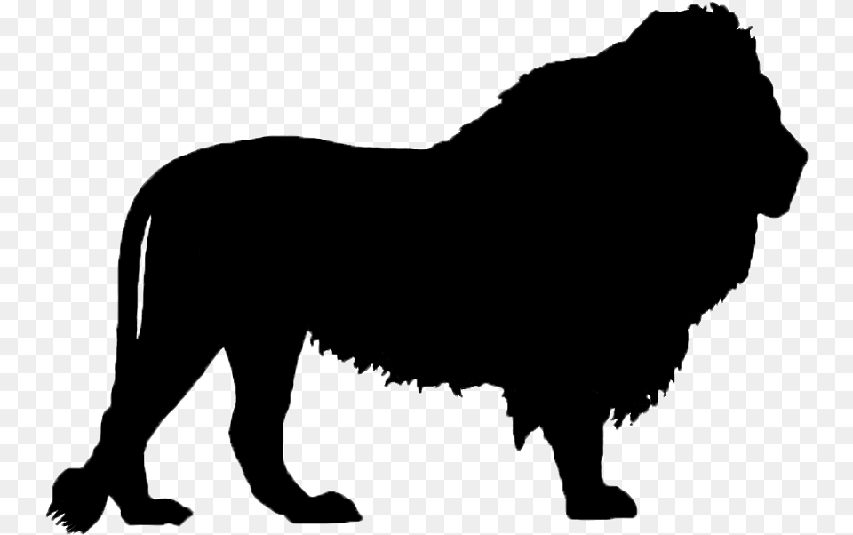 Lion Silhouette Clip Art Lion Clipart Silhouette, Animal, Mammal, Wildlife, Bear Png Image