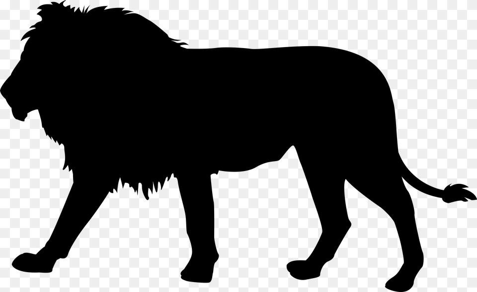 Lion Silhouette Clipart, Gray Png Image