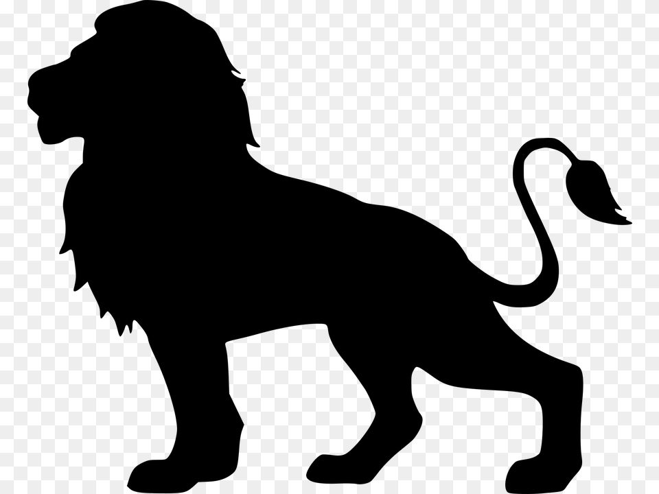 Lion Silhouette Isolated Animal Head Graphic Lion Silhouette, Gray Png Image
