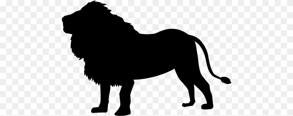 Lion Silhouette Lion, Gray Png